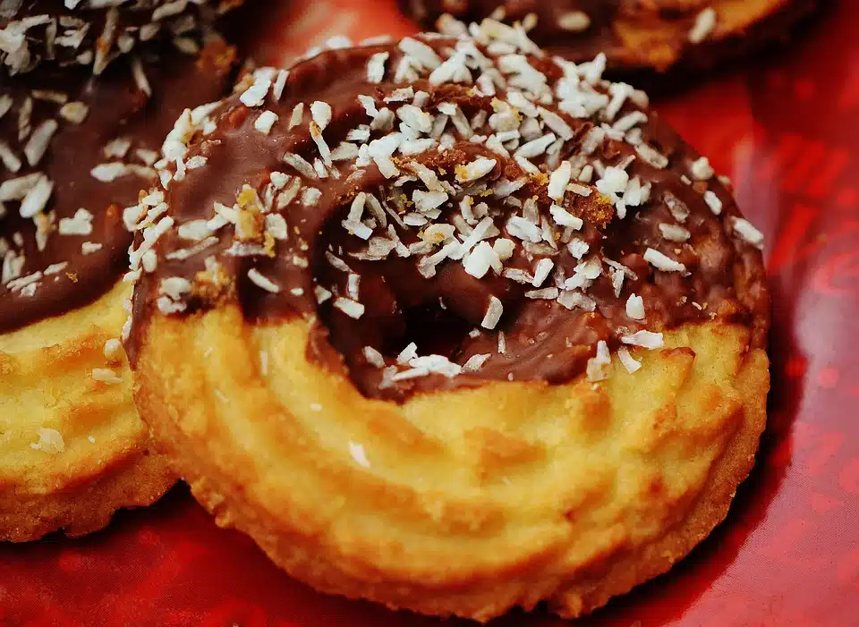 coconut chocolate cookies