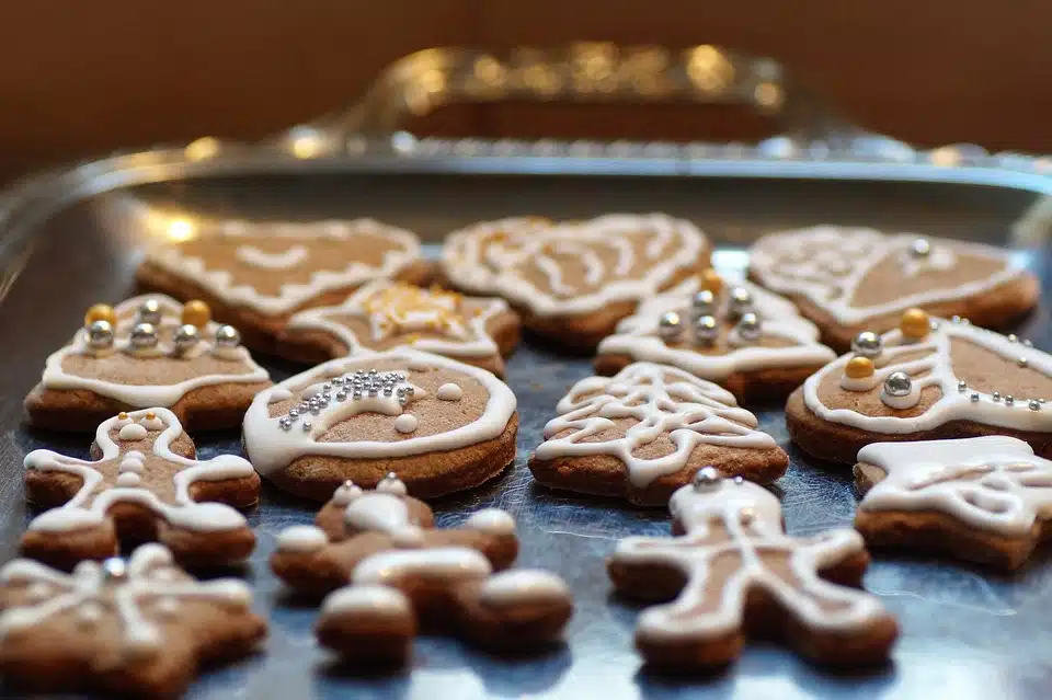 gingerbread cookies with chocolate